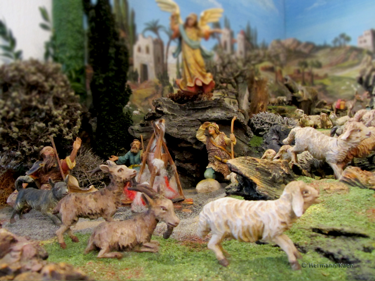 Gruppen Schafgruppe Ziegen