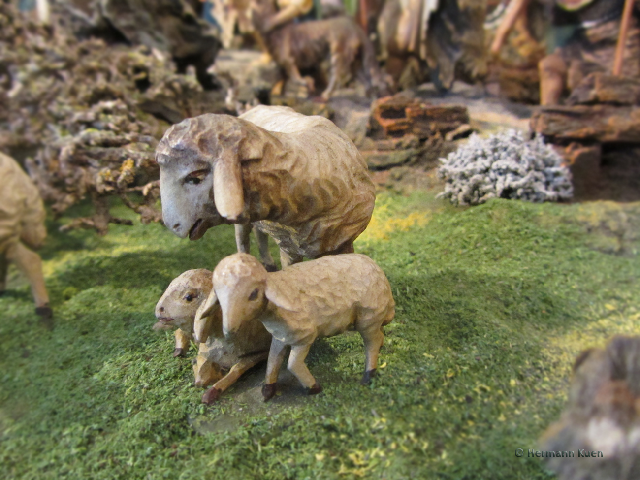 Gruppen Schafgruppe mit Lämmer