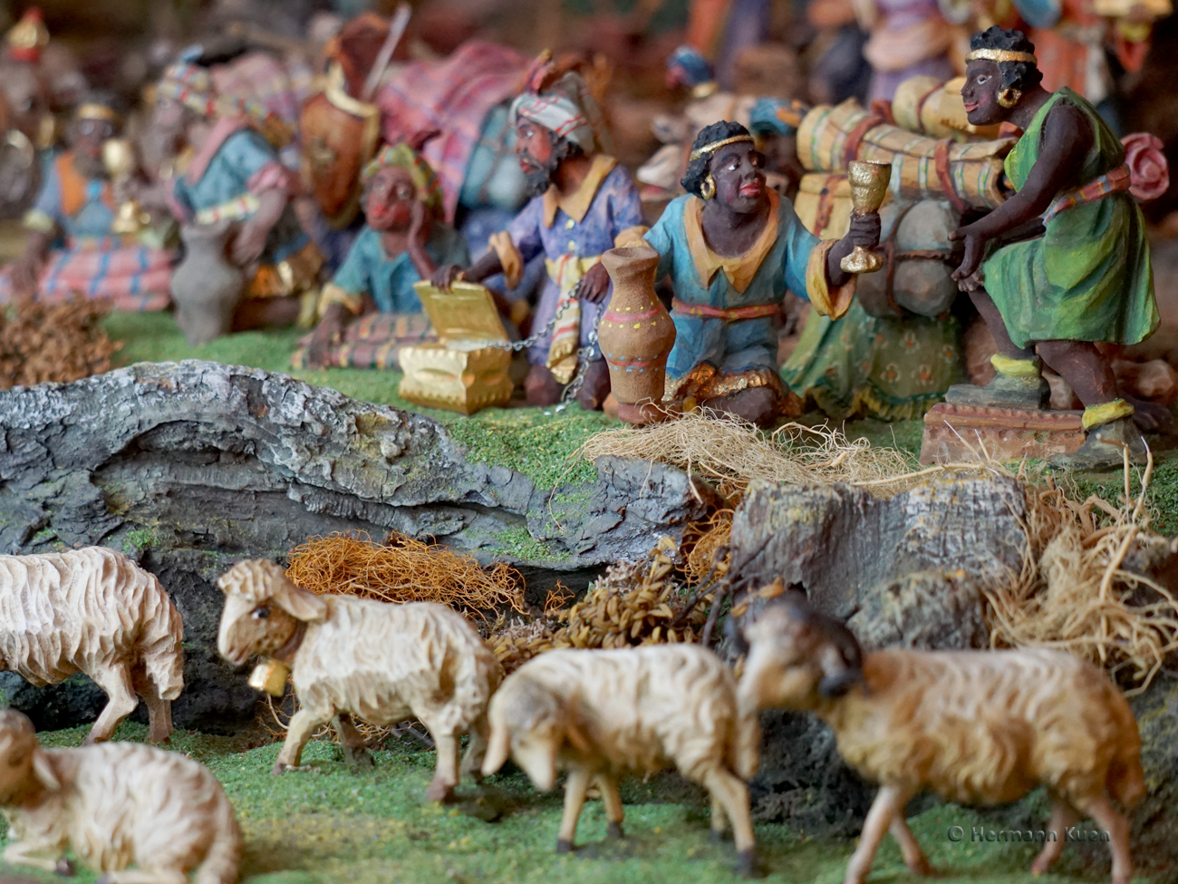 Gruppen Sitzende Kamele G1 2